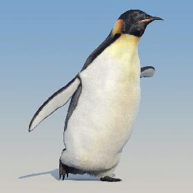Emperor Penguin(FUR)(ANIMATED)